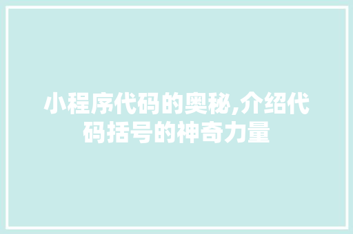 小程序代码的奥秘,介绍代码括号的神奇力量