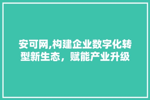安可网,构建企业数字化转型新生态，赋能产业升级