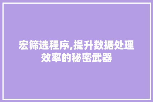 宏筛选程序,提升数据处理效率的秘密武器