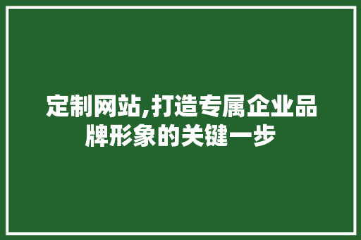 定制网站,打造专属企业品牌形象的关键一步