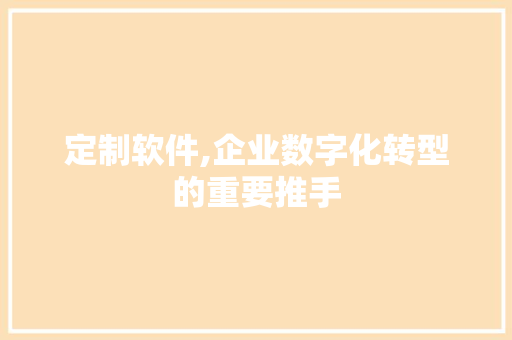 定制软件,企业数字化转型的重要推手 定制软件,企业数字化转型的重要推手 百度SEO