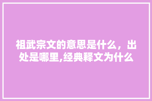 祖武宗文的意思是什么，出处是哪里,经典释文为什么注音不了。