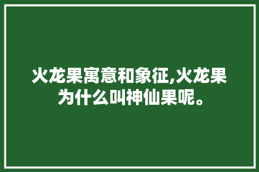 火龙果寓意和象征,火龙果为什么叫神仙果呢。 火龙果寓意和象征,火龙果为什么叫神仙果呢。 神马SEO