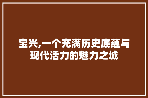 宝兴,一个充满历史底蕴与现代活力的魅力之城