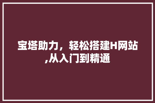宝塔助力，轻松搭建H网站,从入门到精通