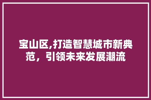 宝山区,打造智慧城市新典范,引领未来发展潮流 神马SEO 宝山区,打造智慧城市新典范,引领未来发展潮流 宝山区,打造智慧城市新典范,引领未来发展潮流 神马SEO