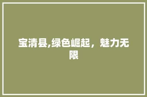 宝清县,绿色崛起，魅力无限