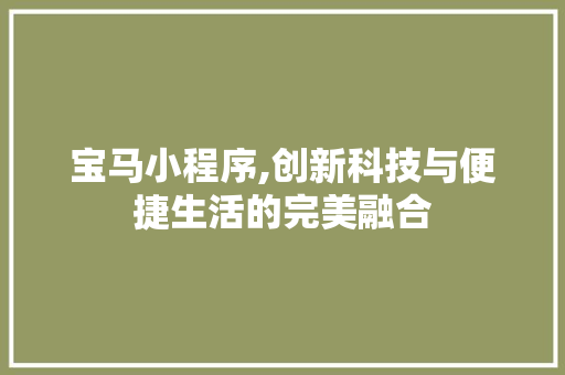 宝马小程序,创新科技与便捷生活的完美融合