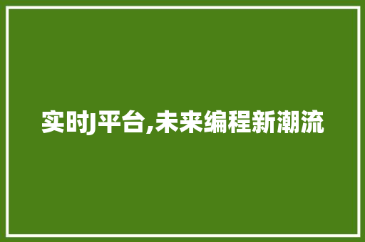 实时J平台,未来编程新潮流