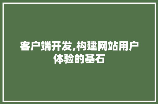 客户端开发,构建网站用户体验的基石 客户端开发,构建网站用户体验的基石 搜狗SEO