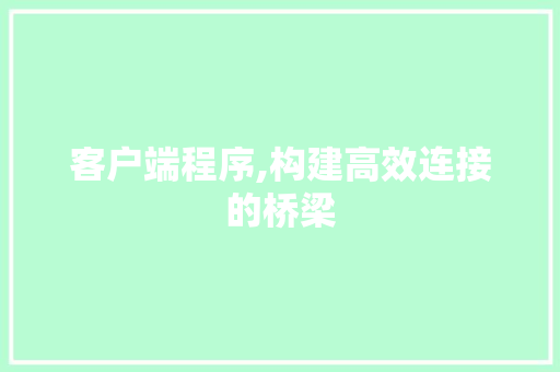 客户端程序,构建高效连接的桥梁 客户端程序,构建高效连接的桥梁 百度SEO