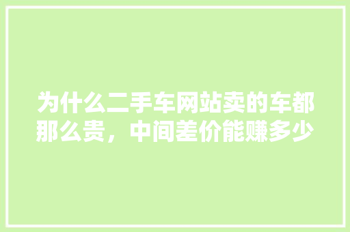 为什么二手车网站卖的车都那么贵，中间差价能赚多少,做网站为什么差价很大呢。