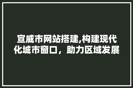 宣威市网站搭建,构建现代化城市窗口，助力区域发展新篇章 宣威市网站搭建,构建现代化城市窗口，助力区域发展新篇章 SEO关键词