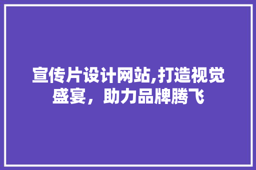 宣传片设计网站,打造视觉盛宴，助力品牌腾飞