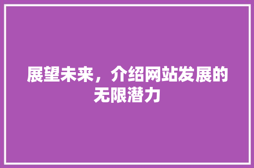 展望未来，介绍网站发展的无限潜力 展望未来，介绍网站发展的无限潜力 网站建设公司
