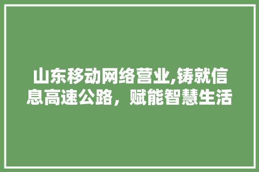 山东移动网络营业,铸就信息高速公路，赋能智慧生活新篇章 山东移动网络营业,铸就信息高速公路，赋能智慧生活新篇章 神马SEO