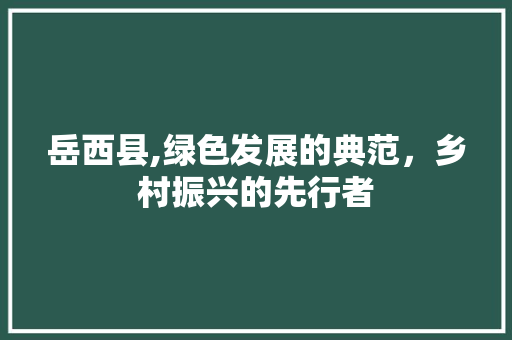 岳西县,绿色发展的典范，乡村振兴的先行者 岳西县,绿色发展的典范，乡村振兴的先行者 网站建设公司