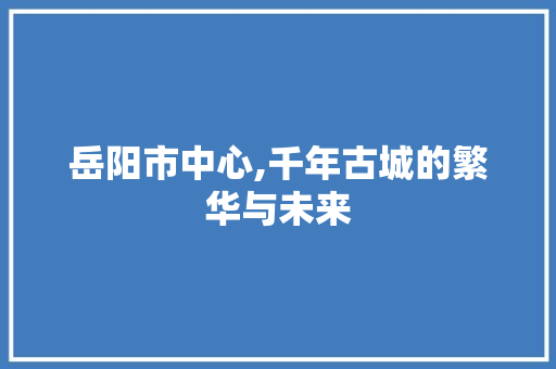 岳阳市中心,千年古城的繁华与未来 岳阳市中心,千年古城的繁华与未来 必应SEO