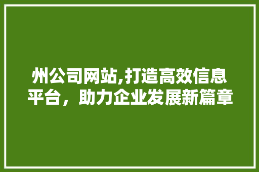 州公司网站,打造高效信息平台，助力企业发展新篇章 州公司网站,打造高效信息平台，助力企业发展新篇章 神马SEO