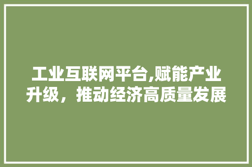 工业互联网平台,赋能产业升级，推动经济高质量发展 工业互联网平台,赋能产业升级，推动经济高质量发展 必应SEO