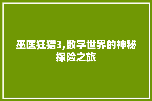 巫医狂猎3,数字世界的神秘探险之旅 巫医狂猎3,数字世界的神秘探险之旅 必应SEO