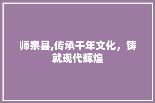 师宗县,传承千年文化，铸就现代辉煌 师宗县,传承千年文化，铸就现代辉煌 神马SEO
