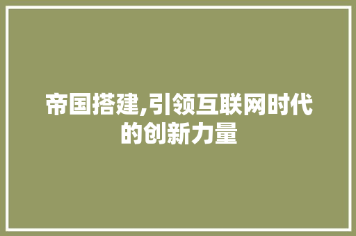 帝国搭建,引领互联网时代的创新力量 帝国搭建,引领互联网时代的创新力量 SEO关键词
