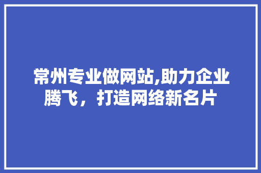 常州专业做网站,助力企业腾飞，打造网络新名片 常州专业做网站,助力企业腾飞，打造网络新名片 网站建设公司