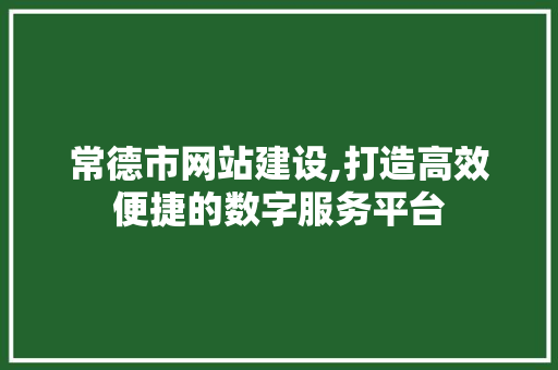 常德市网站建设,打造高效便捷的数字服务平台 常德市网站建设,打造高效便捷的数字服务平台 网站建设公司