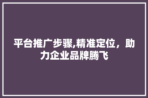 平台推广步骤,精准定位，助力企业品牌腾飞 平台推广步骤,精准定位，助力企业品牌腾飞 百度SEO
