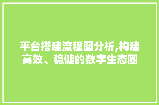 平台搭建流程图分析,构建高效、稳健的数字生态圈 平台搭建流程图分析,构建高效、稳健的数字生态圈 搜狗SEO