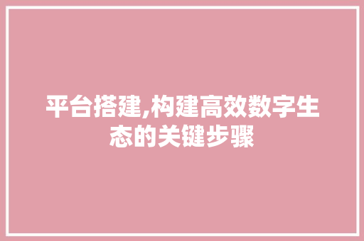平台搭建,构建高效数字生态的关键步骤 平台搭建,构建高效数字生态的关键步骤 网站建设公司