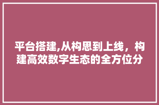 平台搭建,从构思到上线，构建高效数字生态的全方位分析 平台搭建,从构思到上线，构建高效数字生态的全方位分析 网站建设公司