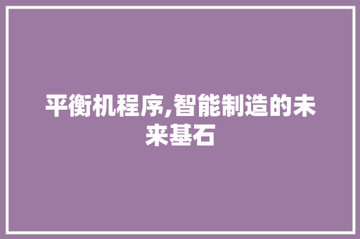 平衡机程序,智能制造的未来基石 平衡机程序,智能制造的未来基石 SEO关键词