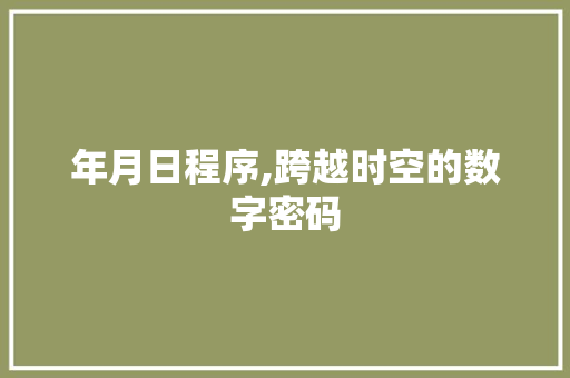 年月日程序,跨越时空的数字密码 年月日程序,跨越时空的数字密码 网站建设公司