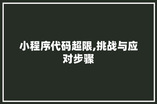 小程序代码超限,挑战与应对步骤 小程序代码超限,挑战与应对步骤 神马SEO