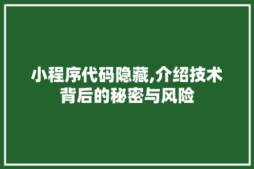 小程序代码隐藏,介绍技术背后的秘密与风险 小程序代码隐藏,介绍技术背后的秘密与风险 搜狗SEO