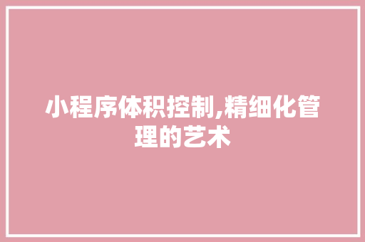 小程序体积控制,精细化管理的艺术