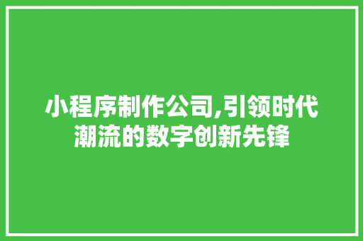 小程序制作公司,引领时代潮流的数字创新先锋