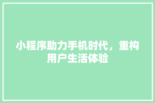 小程序助力手机时代，重构用户生活体验 小程序助力手机时代，重构用户生活体验 神马SEO