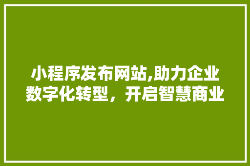 小程序发布网站,助力企业数字化转型，开启智慧商业新篇章