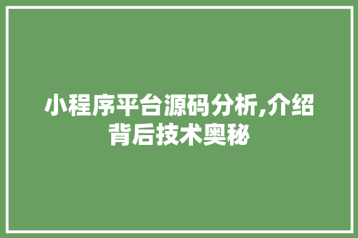 小程序平台源码分析,介绍背后技术奥秘 小程序平台源码分析,介绍背后技术奥秘 必应SEO