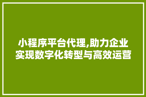 小程序平台代理,助力企业实现数字化转型与高效运营 小程序平台代理,助力企业实现数字化转型与高效运营 神马SEO