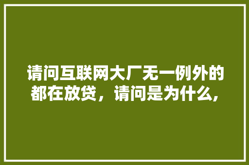 请问互联网大厂无一例外的都在放贷，请问是为什么,公司为什么要做互联网营销。 请问互联网大厂无一例外的都在放贷，请问是为什么,公司为什么要做互联网营销。 必应SEO