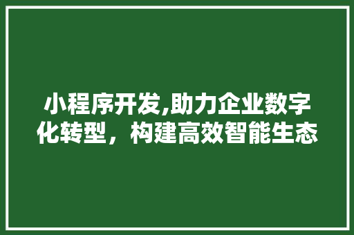小程序开发,助力企业数字化转型，构建高效智能生态