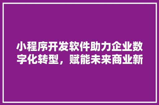 小程序开发软件助力企业数字化转型，赋能未来商业新生态 小程序开发软件助力企业数字化转型，赋能未来商业新生态 网站建设公司