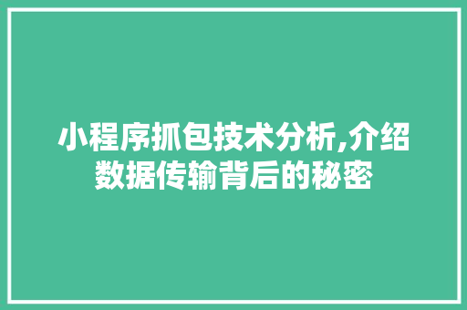小程序抓包技术分析,介绍数据传输背后的秘密 小程序抓包技术分析,介绍数据传输背后的秘密 网站建设公司