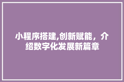 小程序搭建,创新赋能，介绍数字化发展新篇章 小程序搭建,创新赋能，介绍数字化发展新篇章 网站建设公司