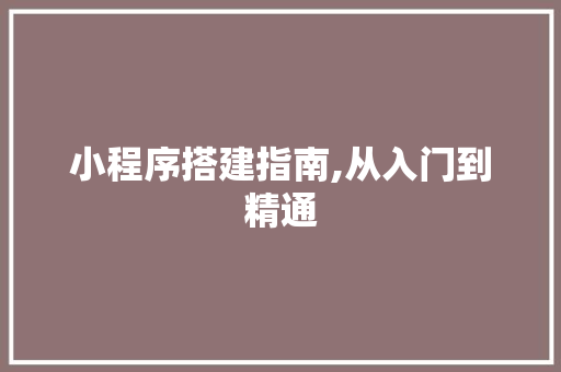 小程序搭建指南,从入门到精通 搜狗SEO 小程序搭建指南,从入门到精通 小程序搭建指南,从入门到精通 搜狗SEO