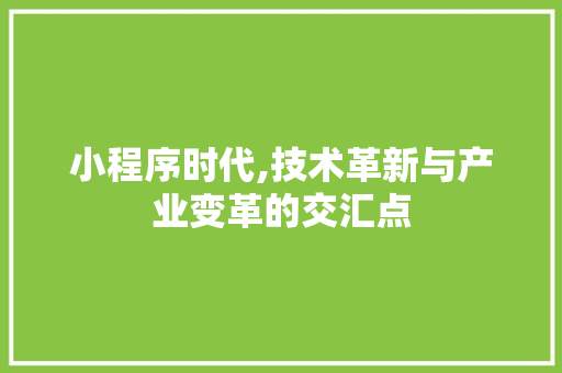 小程序时代,技术革新与产业变革的交汇点